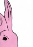 Hase | Bunny #Close-up #4 - 2023 - Acryl auf Kunstkarton - 42 x 29.7 cm